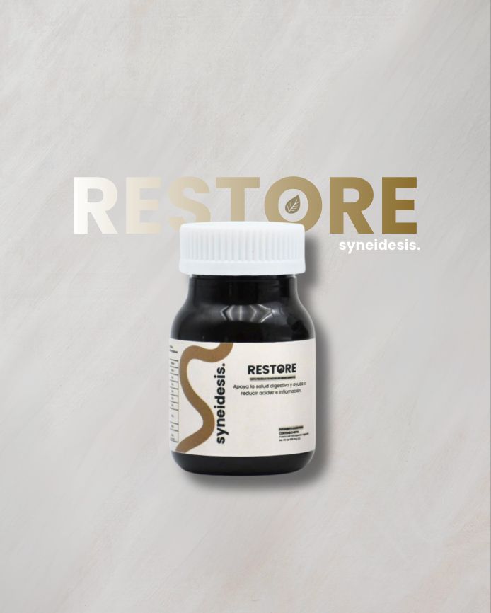 Syneidesis Restore
