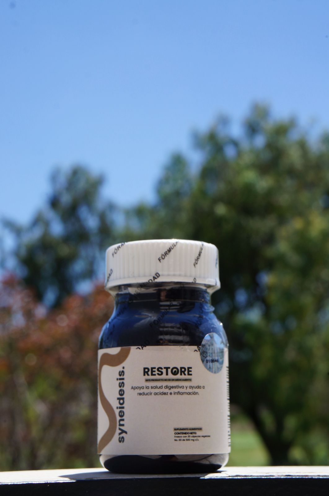 Syneidesis Restore