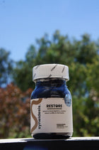 Syneidesis Restore